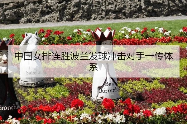 中国女排连胜波兰发球冲击对手一传体系