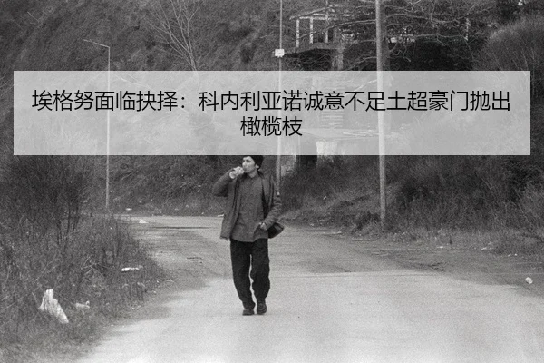 ai-ge-nu-mian-lin-jue-ze-ke-nei-li-ya-nuo-cheng-yi-bu-zu-tu-chao-hao-men-pao-chu-gan-lan-zhi-2-305.jpg