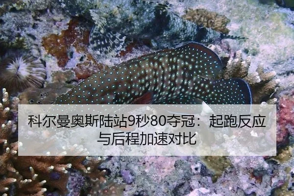 ke-er-man-ao-si-lu-zhan-miao-duo-guan-qi-pao-fan-ying-yu-hou-cheng-jia-su-dui-bi-3-151.jpg