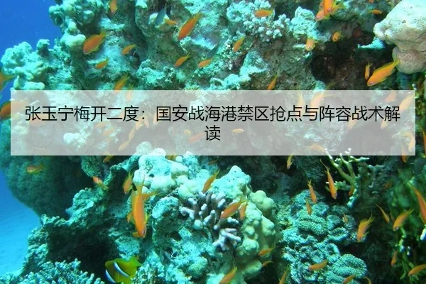 zhang-yu-ning-mei-kai-er-du-guo-an-zhan-hai-gang-jin-qu-qiang-dian-yu-zhen-rong-zhan-shu-jie-du-3-884.jpg