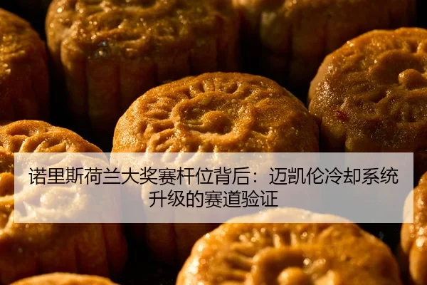 诺里斯荷兰大奖赛杆位背后：迈凯伦冷却系统升级的赛道验证